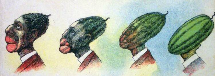 watermelon_edited_op_769x275_op_750x268.jpg